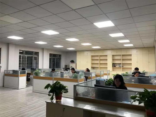 揚州玉器廠迎戰雙十一 電商中心啟用，民辦培訓機構助陣